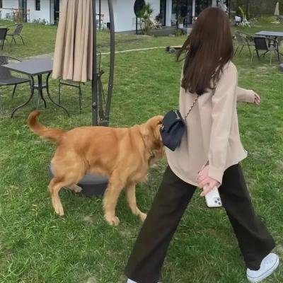 美丽背后